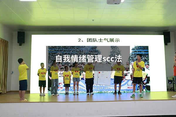 自我情绪管理 scc法